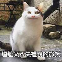 https://images.plurk.com/5HBlLbnTp1aapSD6GZXc8R.jpg