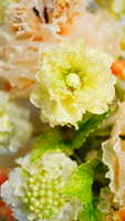 https://images.plurk.com/5HHEWnAhvZrqBVCYSlBjHx.jpg
