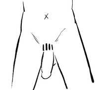 https://images.plurk.com/5HOWojtLbjAgUTIEQuBJE7.jpg