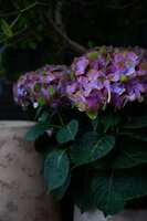https://images.plurk.com/5Ha0N37AM8L2JPN63VjT7o.jpg