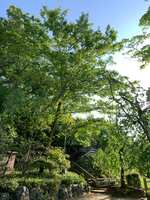 https://images.plurk.com/5HoMWltCGRXXjel0gtpOzL.jpg