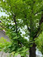 https://images.plurk.com/5HpCvIA0H7oK32VOxvmPDC.jpg