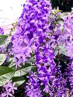 https://images.plurk.com/5I5n6cbTzlnONaRcBGj1K9.jpg