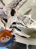 https://images.plurk.com/5ID58v0K8OQE55Cfj9HlLE.jpg
