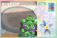 https://images.plurk.com/5IEbgfZUH6F1Qe37ZHfZtp.png