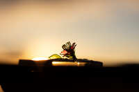 https://images.plurk.com/5INix6X38nTBaHptZ453yZ.jpg
