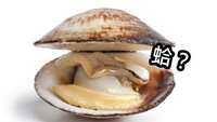 https://images.plurk.com/5IROPnnZe2LgcSQXDqPDal.jpg