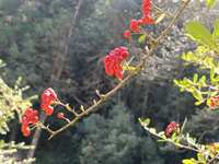 https://images.plurk.com/5IUqE5xj8kPFogZAXnK4Js.jpg