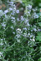 https://images.plurk.com/5IfYXbHbqf5zXgwULueGfB.jpg