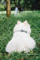 https://images.plurk.com/5IiRUbXct4I4202x7IB0MT.jpg