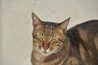 https://images.plurk.com/5IodNJJP0CaVfUUbM1EVIA.jpg