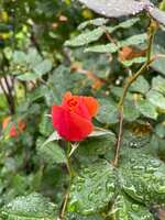 https://images.plurk.com/5ItyDppfb22uVcl1flZCGx.jpg