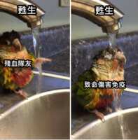 https://images.plurk.com/5Ivyok7mZkz5KQ4lwGZMUW.png