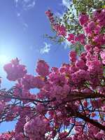 https://images.plurk.com/5IxsD6R92gCMCIc15fLKTZ.jpg