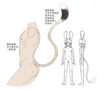 https://images.plurk.com/5IzHzsUnOYiAgigpObjTvt.jpg