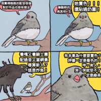 https://images.plurk.com/5J1t51vdk5cOYDb4JDXMb4.png