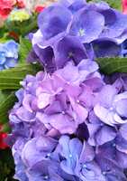 https://images.plurk.com/5J6NSkuY8eJnw5e2rv8xTU.png