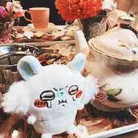 https://images.plurk.com/5J8WhHHOzM63DxLDWnJ0jF.jpg
