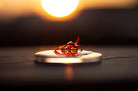 https://images.plurk.com/5J9Db3ahQMDOdyRSe4ouiT.jpg