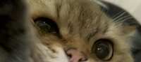 https://images.plurk.com/5JCAlWpkLOKqPIHlntWs51.jpg