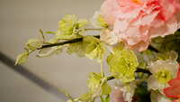 https://images.plurk.com/5JDUka4LTQh5ZA4WXXnVGr.jpg