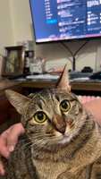 https://images.plurk.com/5JGwuY8uM3VmzaUF5NwJEu.jpg