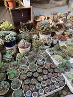https://images.plurk.com/5JHMPUuP9nzGPIHs4SGErU.jpg
