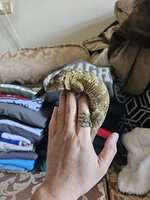 https://images.plurk.com/5JHZH6HFENDDSaHAND1Jts.jpg