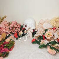 https://images.plurk.com/5JMd67ThKMQR5kEtqe3Rrm.jpg