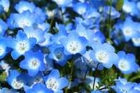 https://images.plurk.com/5JOgPp32z9MRhO9ByGHtpV.jpg