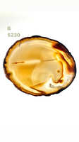 https://images.plurk.com/5JPM4jWYydBe3NVR1NJ6do.jpg