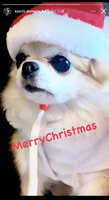 https://images.plurk.com/5JSNBTsWB2rroqK8RHcRRy.jpg