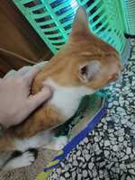 https://images.plurk.com/5JX2ic0iaCQfe7QEwbSAEd.jpg