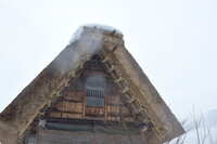https://images.plurk.com/5JpFz1lEHqf3gNjGGUo8yn.jpg