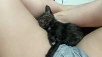 https://images.plurk.com/5JpKNZdNW4SYe6qKj4S6rS.jpg