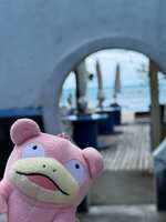 https://images.plurk.com/5Jq8U8ND1oM8lTJmJ7KjCM.jpg