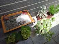 https://images.plurk.com/5Jrb9ZMbR2VWFUDpnoVSDE.jpg