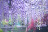 https://images.plurk.com/5Jyxla7QoEvLXcTn8ZeNaq.jpg