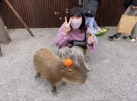 https://images.plurk.com/5KCaMy06gmw9LDkJiRuxQ9.jpg