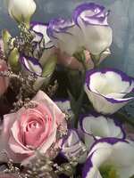 https://images.plurk.com/5KCo2xpJedLSbbjuqVr5qz.jpg