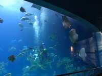 https://images.plurk.com/5KOOlpe3bJa51m860kmPPA.jpg