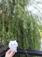 https://images.plurk.com/5KRqbDHys6jS8guOD7oNwI.jpg