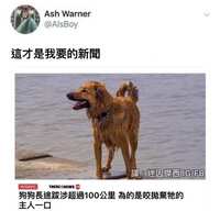 https://images.plurk.com/5KTafuw9Buga3GjKF0TITh.jpg