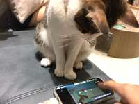 https://images.plurk.com/5Kao7FPL37vMcPfMsg81TX.jpg