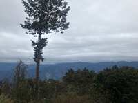 https://images.plurk.com/5KePP8LNLpQoUNze3p9uOr.jpg