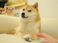 https://images.plurk.com/5KgFeg9F3LtIsH7RjmnfTh.png