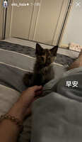https://images.plurk.com/5KqobEBd4tN40fTwqasRsl.jpg