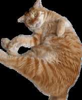 https://images.plurk.com/5KssdsGxvQwwwwT7KYeviY.png