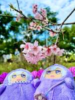 https://images.plurk.com/5KxSsKR9LeaR6hjhmadrTi.jpg