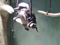 https://images.plurk.com/5L46NFn4JOHph1xQsYyfgg.jpg
